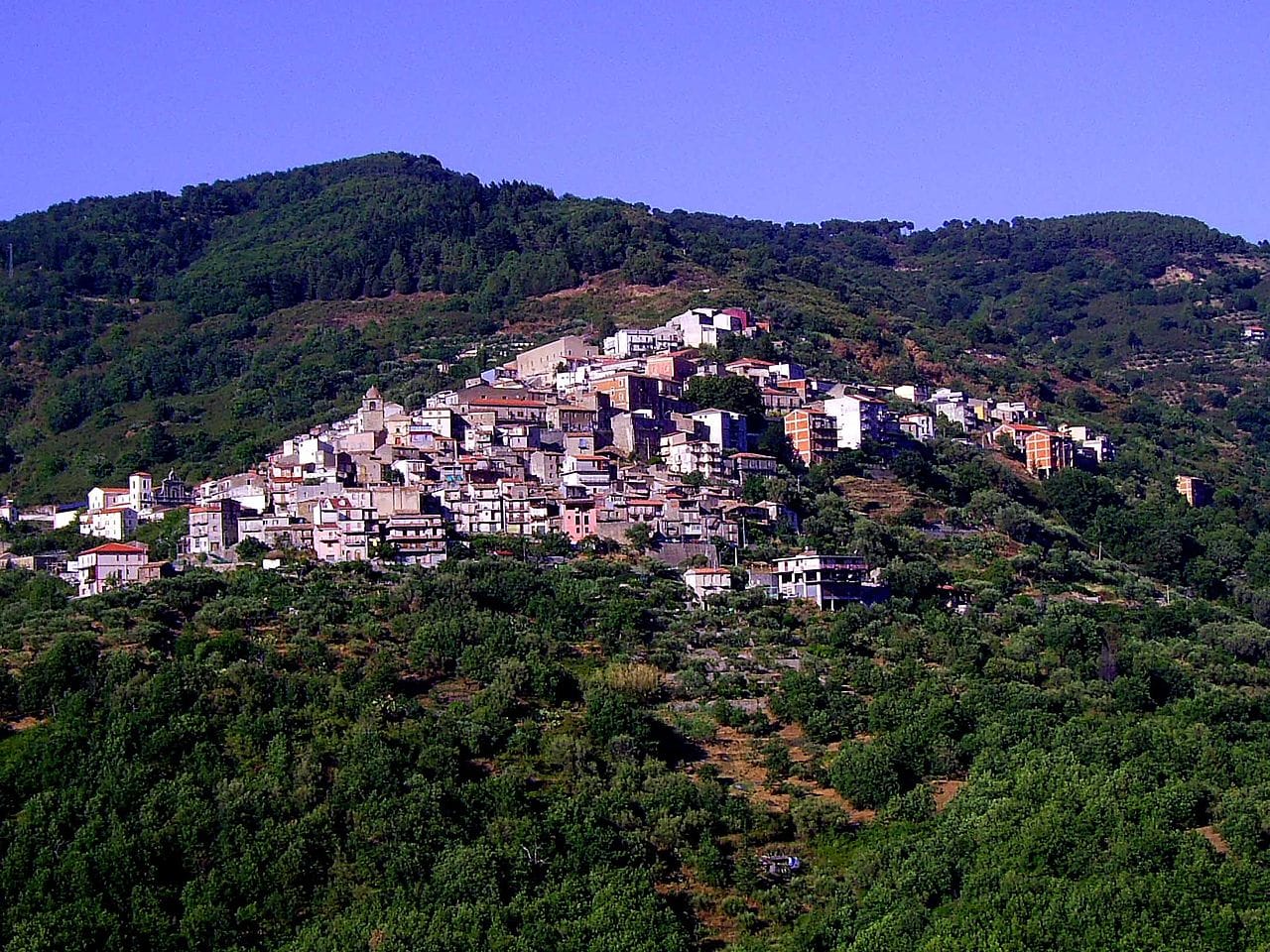 Raccuia