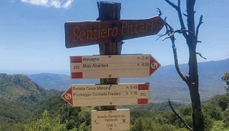 VERDE MALVAGNA