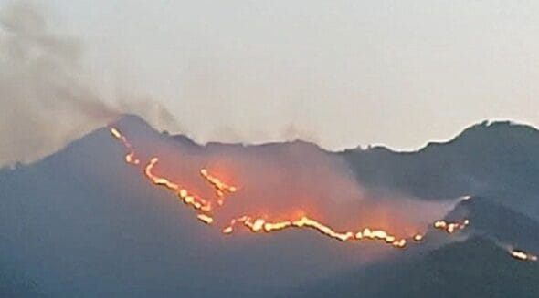 incendi valle alcantara