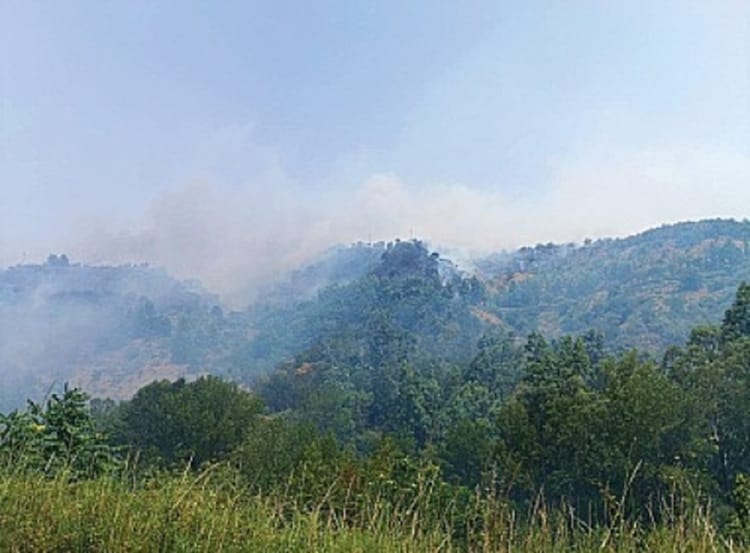 incendio francavilla