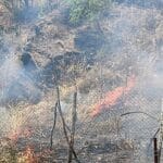 incendio mojo