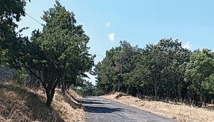 STRADE CESARO'