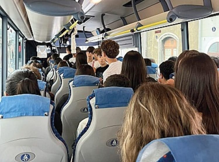 BUS VALLE ALCANTARA